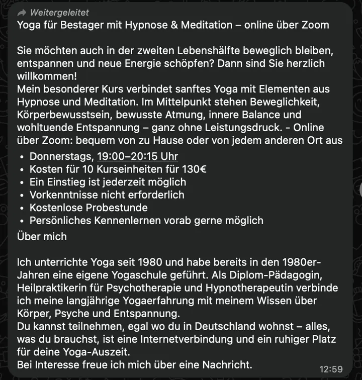 Briefing als WhatsApp-Nachricht mit dem Kurstext